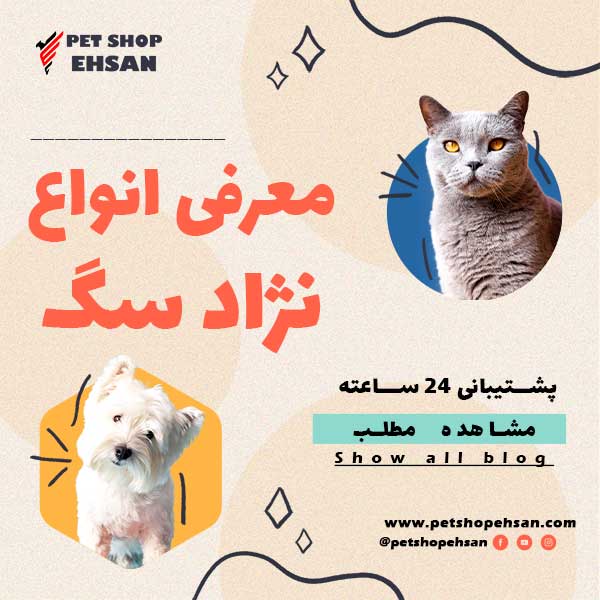 معرفی انواع نژاد سگ