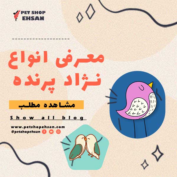 معرفی انواع نژاد پرنده