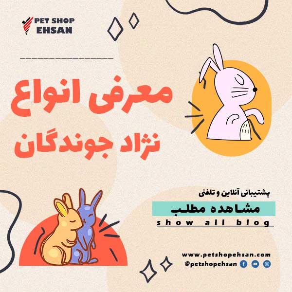 معرفی انواع نژاد جوندگان