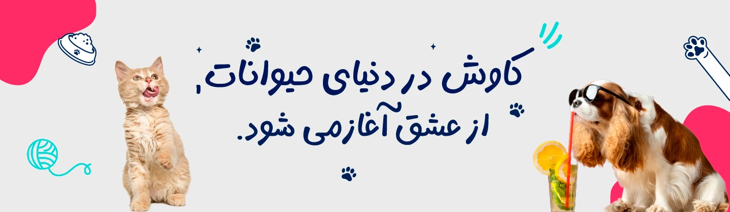 بنر اصلی پت شاپ احسان