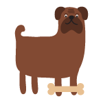 dog-categoury